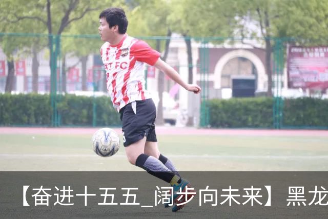 【奋进十五五 阔步向未来】黑龙江农机产业正加速迈向高端化智能化绿色化